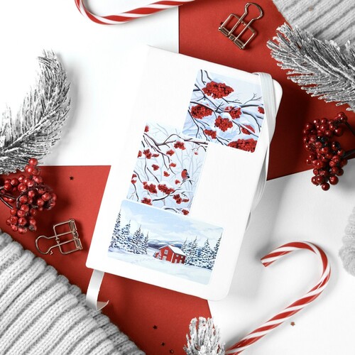 Q-PACK RED WINTER (,  1)