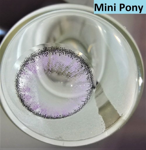   (Mini Pony)